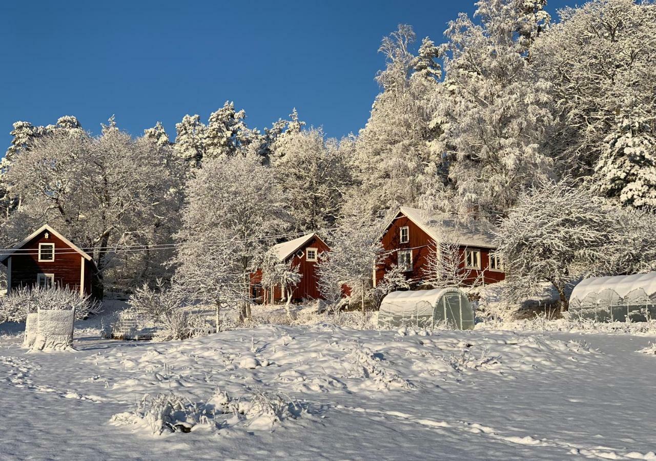 18Th Century Farm Cottage Valdemarsvik Exteriér fotografie